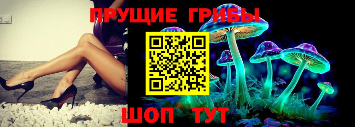 Лосино-Петровский  Галлюциногенные грибы Psilocybe  Псилоцибиновые грибы Psilocybine cubensis  Вход с VPN 